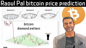 Raoul Pal Makes his New Bitcoin Price Prediction!! Will this