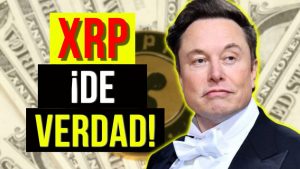 ¡Elon Musk Acaba de Tuitear por qué Ripple/XRP Ganará la
