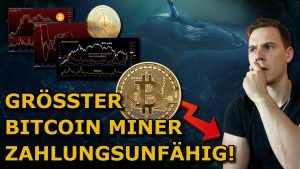 Bitcoin: GEFAHR einer Miner Kapitulation durch Insolvenz? Ether von Walen