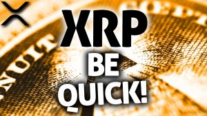 XRP Ripple: Do This Before The Switch Happens!