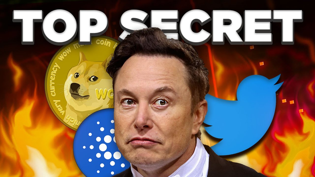 Elon Musk Has TOP SECRET Plans for Dogecoin in 2023