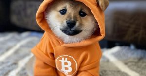 Bitcoin Meme Coin Protocol Runes Sees Dim Traction Amid Falling BTC Prices