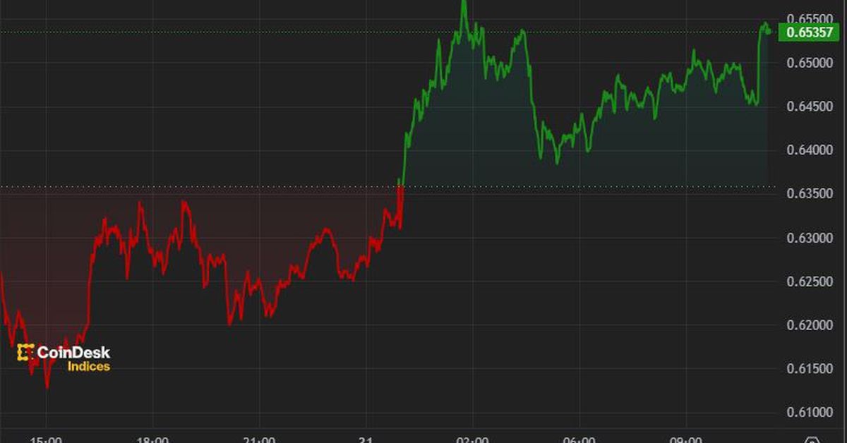 Crypto Market Stabilizes After Nursing Losses